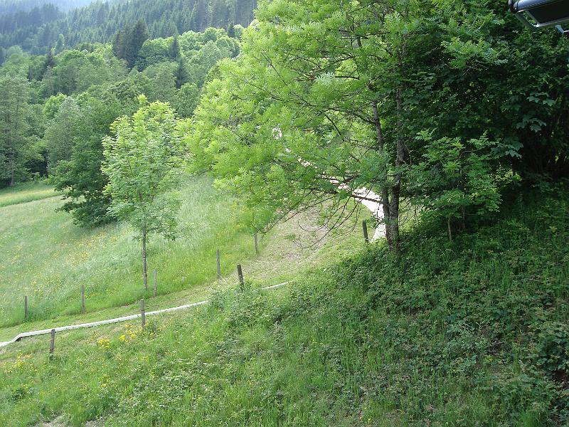 AUS04062009 (178).jpg